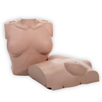 Prestan Vrouwelijk huid torso 2-pack (Medium) 